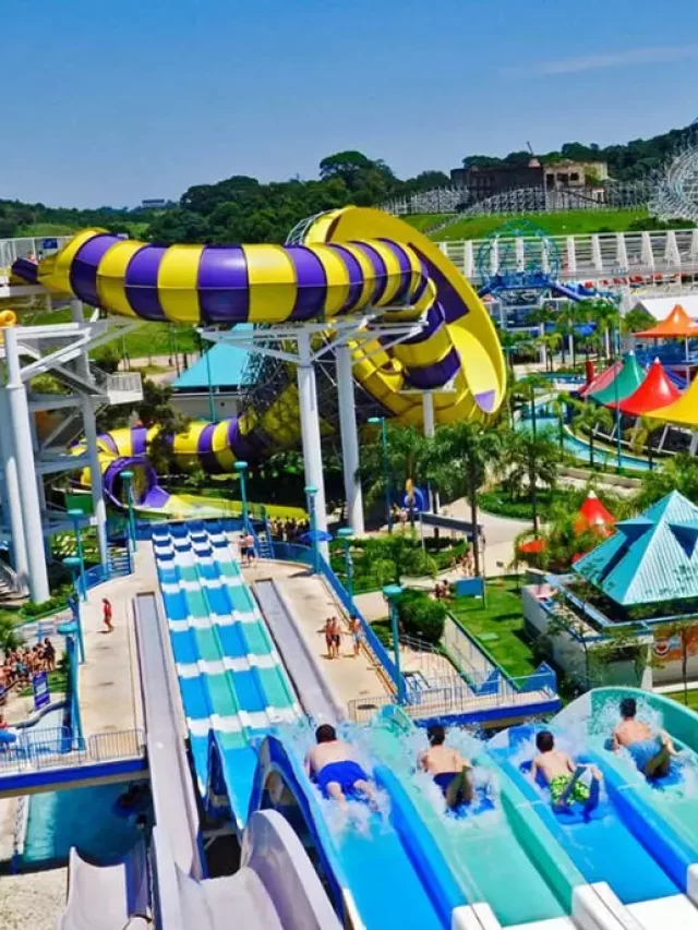 Parque aquático Wet’n Wild terá entrada grátis nesta quarta-feira (01/05)
